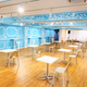 Illustration for article titled Social Distancing Cafe Opens In Tokyo